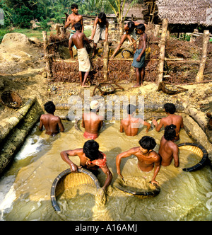 Sri Lanka Ratnapura Mining Moonstone zaffiro pietre preziose Ruby gioielli Gems Foto Stock