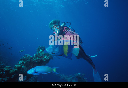 Babs Jackson immersione sul relitto Umbria Port Sudan Mar Rosso Sudanese oggetto era di 51 anni al momento Foto Stock