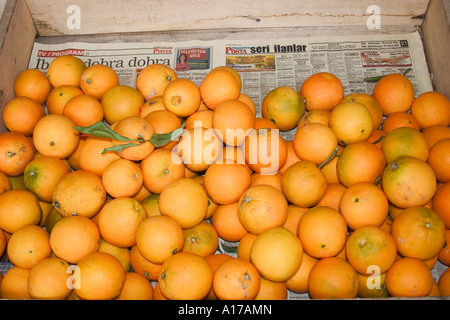 Arance in un caso Foto Stock