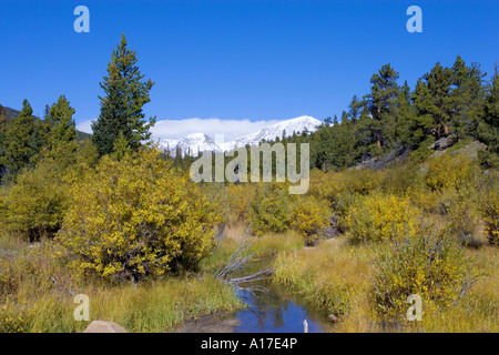 Prati e montagne del Parco Nazionale delle Montagne Rocciose in Colorado Foto Stock