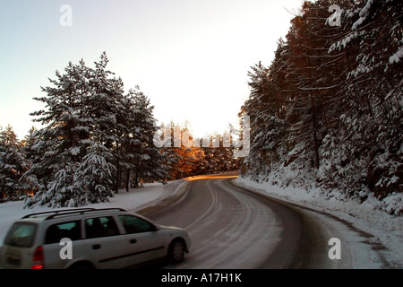 Un viaggio attraverso i boschi innevati, Brasov, Transilvania, Romania. Foto Stock