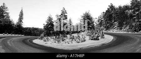 Un viaggio attraverso i boschi innevati, Brasov, Transilvania, Romania. Foto Stock