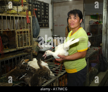 Mercato Centrale, Shunde, Foshan, guangdong, Cina. Foto Stock