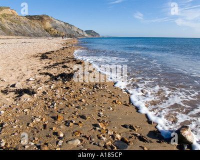 Guardando verso Est lungo la spiaggia di Charmouth verso Golden Cap su la costa del Dorset Foto Stock