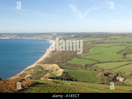 Guardando ad ovest verso San Gabriel la bocca con Charmouth & quindi Lyme Regis in distanza dal Golden Cap in Dorset Foto Stock