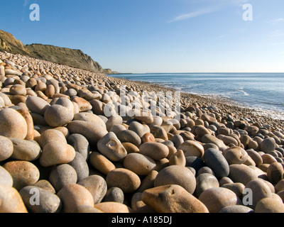 Guardando verso Est lungo la spiaggia di Eype la bocca (Dorset) verso il West Bay Foto Stock
