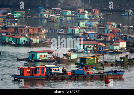 2007 Città galleggiante Houseboat comunità in porto fuori Cat Ba Town Halong Bay Vietnam Foto Stock