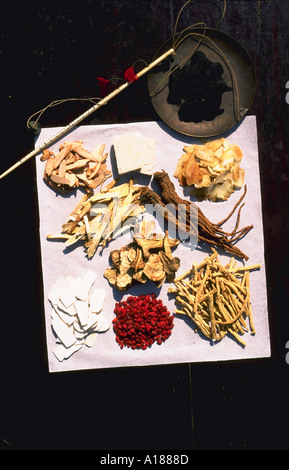 Chinese medicine a base di erbe con scala di pesatura Foto Stock