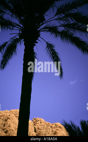 Fotografia di viaggio dal Marocco Africa Settentrionale Foto Stock