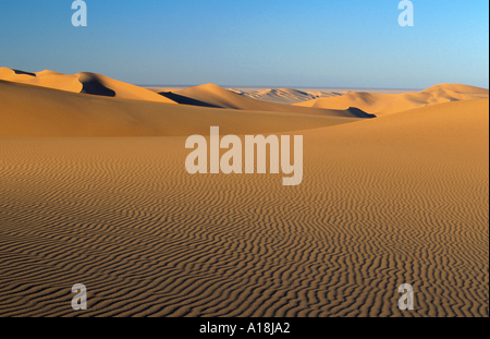 Le dune di sabbia, Libia, Sahara, Erg Murzuk, nov. 00. Foto Stock