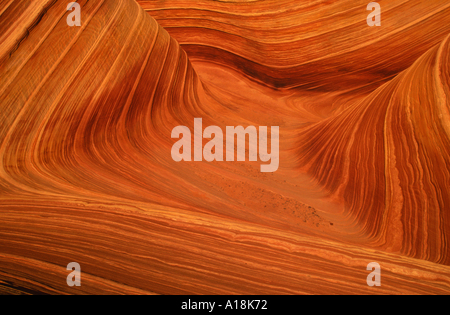 L'Onda, acqua pareti scolpite, STATI UNITI D'AMERICA, Arizona, Paria Canyon Vermillion Cliffs Wilderness Area, Apr.04. Foto Stock