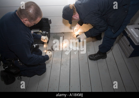 Scena del Crimine tecnico e Detective ispezionano il vetro rotto sulla scena di un furto con scasso Kansas City MO criminalità polizia Lab Foto Stock