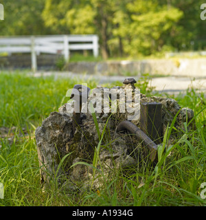 Left-over di armatura in acciaio Foto Stock