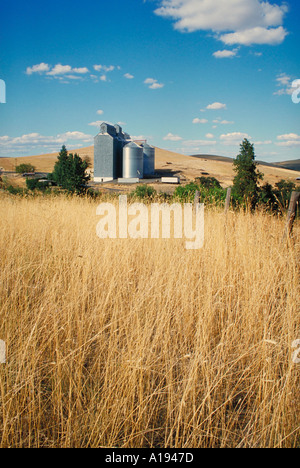 Fabbricati agricoli Foto Stock