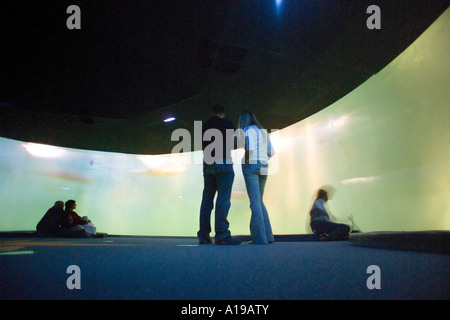 Anello degli squali, spettacolo serbatoio di squali, acquario marino, Saint-Malo, Bretagna, Francia, Europa Foto Stock