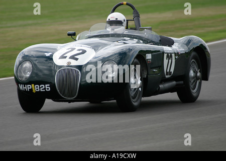 1953 Jaguar C-tipo durante il Freddie Marzo Memorial Trophy gara a Goodwood, Sussex, Inghilterra. Foto Stock