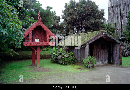 Edifici Maori in museo a Whakarewarewa Rotorua Nuova Zelanda Foto Stock