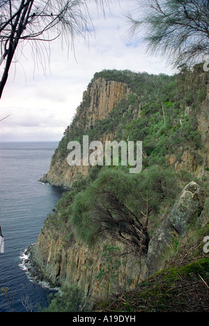 Enormi scogliere di Capo scanalati vicino Adventure Bay, Bruny Island, Tasmania Australia Foto Stock