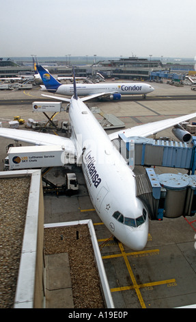 Piano di Lufthansa, l'aeroporto di Francoforte, Germania Foto Stock