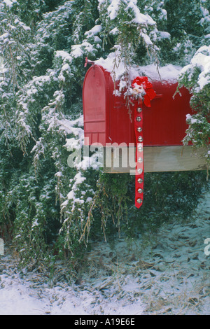 Rossi di grandi dimensioni cassetta postale rurale decorato per il Natale accoccolato lungo la strada rurale coperto con fiocco rosso accanto a albero di cedro, Midwest USA Foto Stock