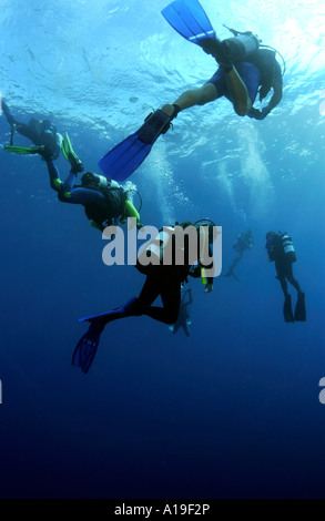 Subacquei facendo il fermo di sicurezza su Super grotte divesite parete Bahamas Foto Stock