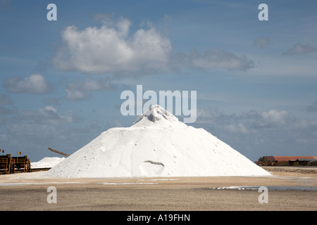 Uno stock di sale Bonaire caribbean west indies Foto Stock