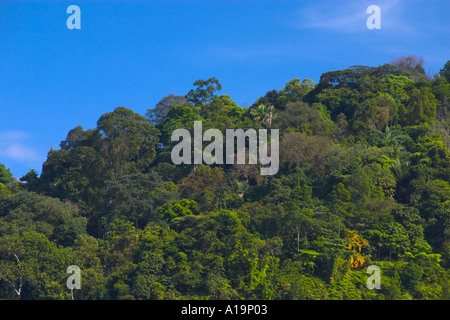 Tropical scenario delle colline e cielo blu Foto Stock