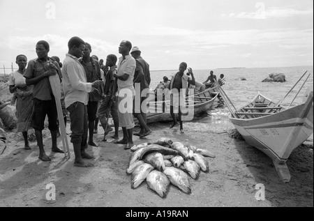 B/W di pescatori con le loro catture di pesce persico del Nilo messi in vendita sulle rive del lago Victoria, Nyamirembe, Tanzania nord-occidentale Foto Stock