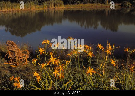 Tessuto rustico willow sedia a dondolo da accanto a un piccolo lago rurale con arancio fiori selvatici nel sole del tardo pomeriggio, Missouri USA Foto Stock