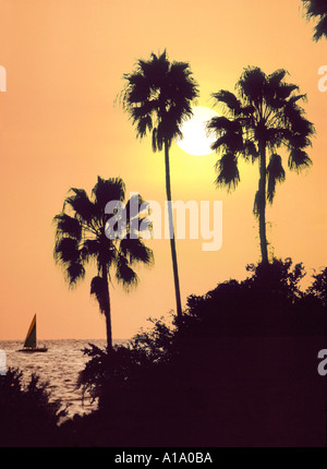 Florida sunset with palms sailboat ocean Foto Stock