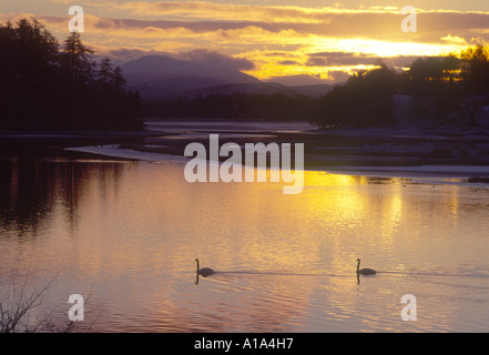 Tramonto sul Loch Insh Kincraig costituisce parte del fiume Spey sistema. 2833-202 GPL Foto Stock