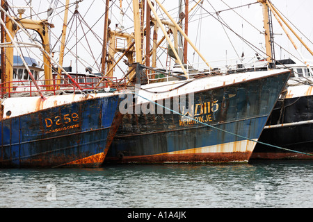 Barche da pesca in porto, KILMORE QUAY, Wexford, Irlanda Foto Stock