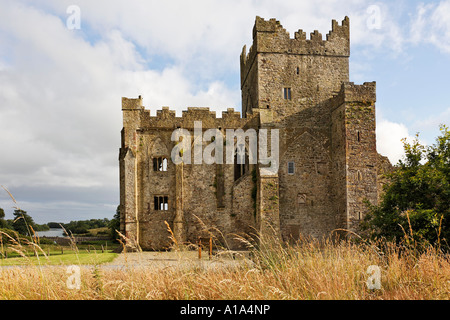 Tintern Abbey abbazia cistercense fondata 1200, County Wexford, Irlanda Foto Stock
