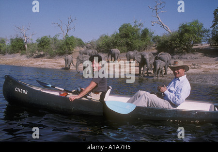 Canoa vicino agli elefanti sul fiume Chobe Botswana Sud Africa Foto Stock