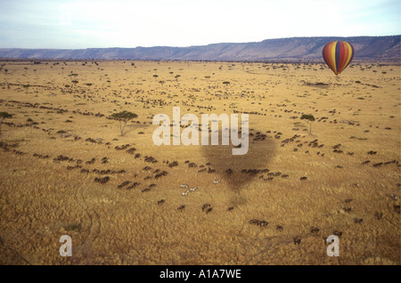 Vista aerea della Mongolfiera Volare sopra le mandrie di gnu nella Riserva Nazionale di Masai Mara Kenya Africa orientale Foto Stock