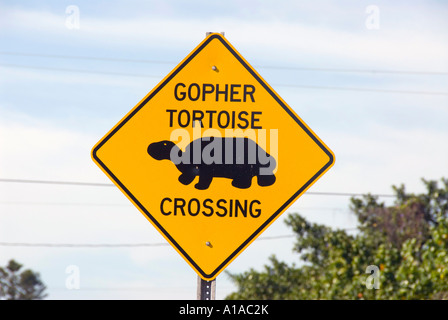 Florida Sanibel Island gopher tartaruga segno di attraversamento su autostrada Foto Stock