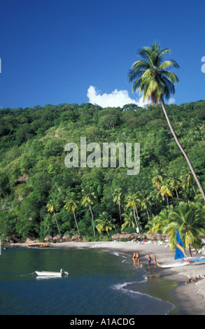 St Lucia spiaggia di anse chastanet resort con spiaggia di sabbia nera con Palm tree background Foto Stock