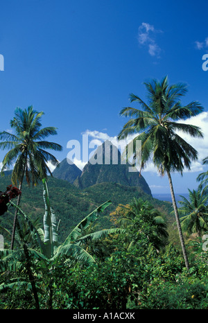 St Lucia Soufriere città si affacciano due pitons incorniciato da palme Foto Stock