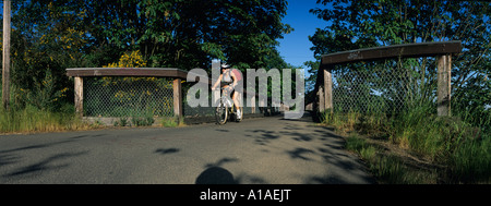 Stati Uniti Washington Seattle mountain biker scorre attraverso il ponte in legno sul Burke Gillman Trail sul pomeriggio estivo Foto Stock