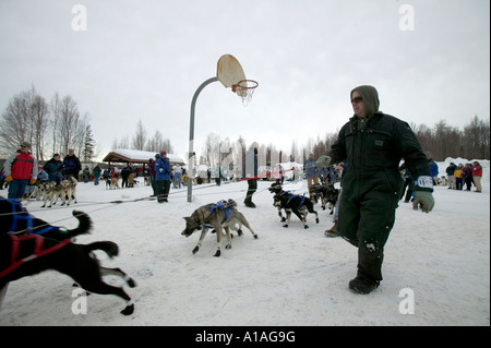 Stati Uniti d'America Alaska Willow guida gestori imbrigliato cane passato coperta di neve pallacanestro verso la linea di partenza Foto Stock
