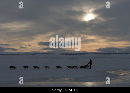 Stati Uniti d'America Alaska Unalakleet Musher e cane team gare in ingresso congelate lungo mare di Bering costa durante 2005 Iditarod Sled Dog Race Foto Stock