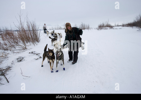 Stati Uniti d'America Alaska Unalakleet fotografo Jeff Schultz conduce confuso un cane lungo il sentiero in colline di avvicinamento del mare di Bering litorale Foto Stock