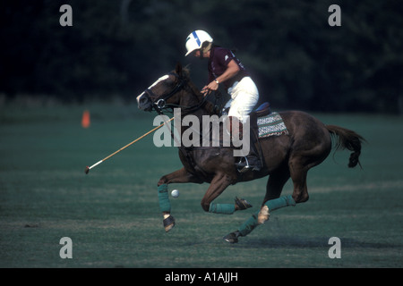 Stati Uniti Maryland femmina Poolesville giocatore di polo a cavallo svolge durante il match in Potomac Polo Club Foto Stock