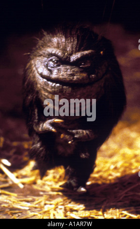 Critters Anno 1985 direttore Stephen Hereck Foto Stock