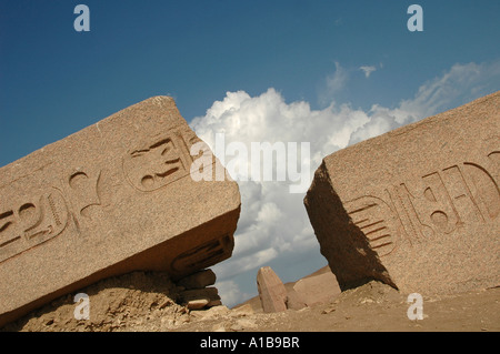 La rottura di un obelisco con script geroglifico presso il tempio antico sito di Tanis nella parte orientale del fiume Nilo delta Alto Egitto Foto Stock