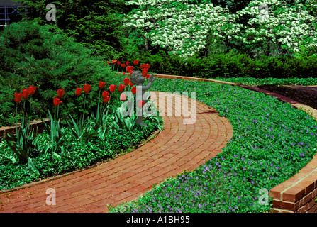 Giardino con la curvatura del percorso di mattoni o la passerella attraverso vinca groundcover e fioritura sanguinello alberi Foto Stock