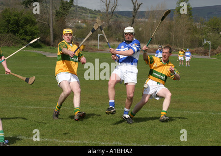 Lotta per la sfera amatoriale GAA club hockey irlandese azione falls park Belfast Irlanda del Nord Foto Stock