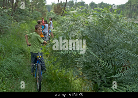 Famiglia Mountain Bike in Francia Aquitania Landes Forest Foto Stock