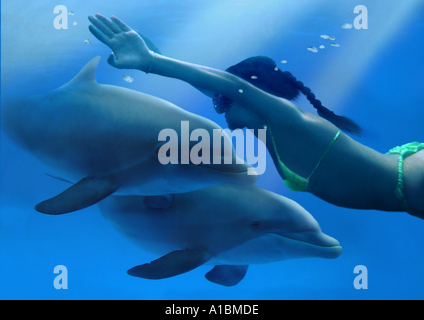Comune di delfini Bottlenose (Tursiops truncatus). Due individui con subacqueo