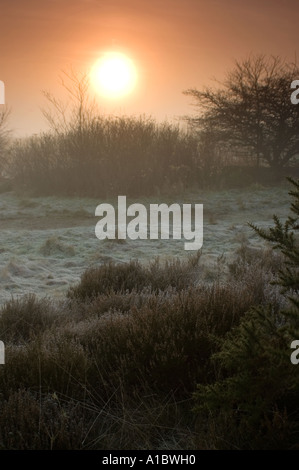 Alba sunrise a Parkhall Campagna Parco, Stoke-On-Trent, Staffordshire Foto Stock